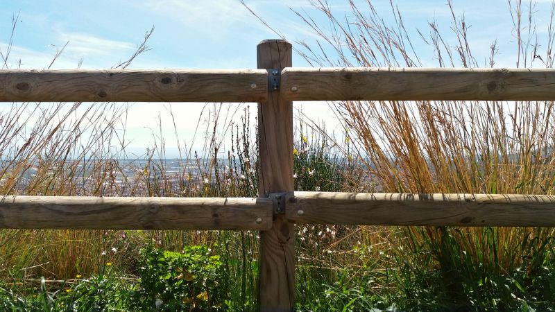 Nature-Inspired Designs