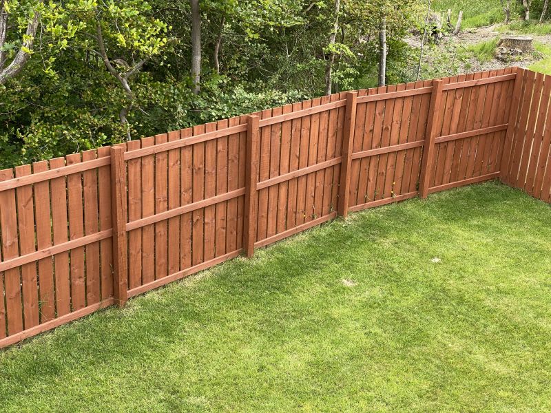 Fence Painting in Spring